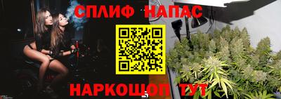 гидра Мариинск
