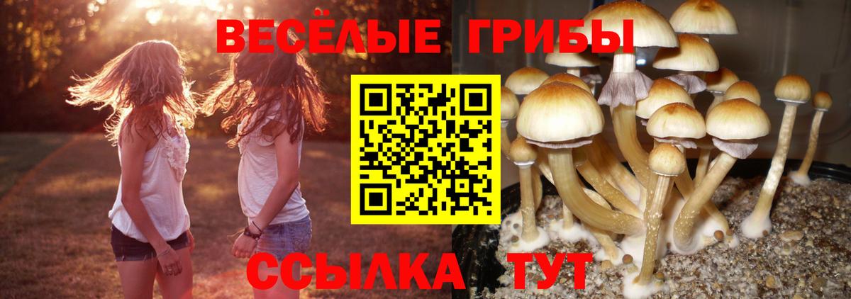 Усть-Джегута  Псилоцибиновые грибы ЛСД  Галлюциногенные грибы Cubensis  Вход с VPN 